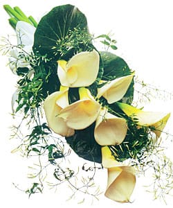 Жарден Флорист